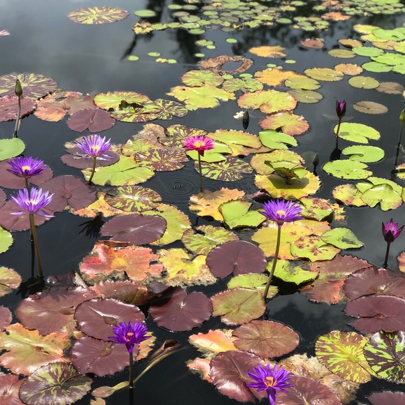 Meet your Posher, Educated - Picture 1 of 1